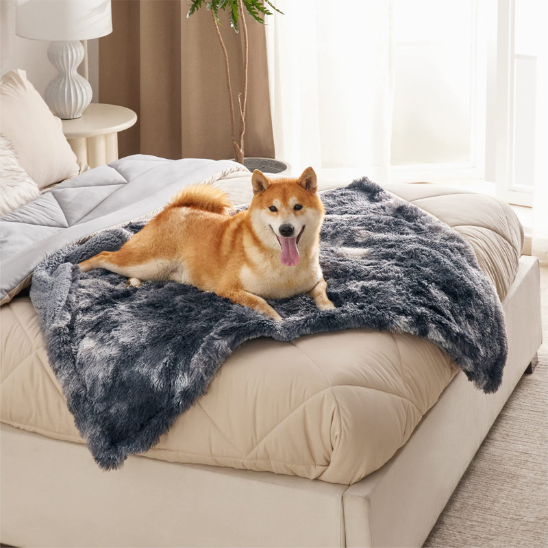 QUALITY FLOORING INC. Waterproof Dog Blankets For Large Dogs Calming Cat Blanket For Couch Protector Washable Long Faux Fur Pet Throw Blanket For Puppy Reversible Furniture Protection Wayfair